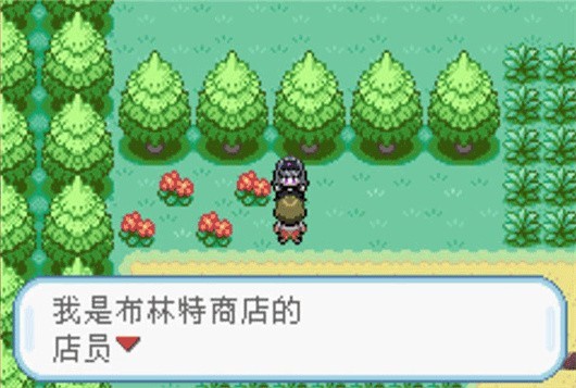 口袋妖怪火红版截图4