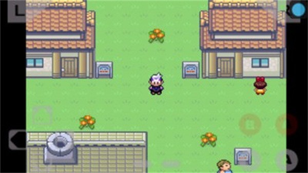 口袋妖怪绿宝石386版截图2