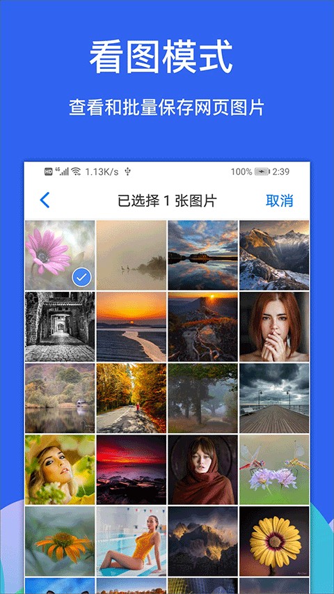 Alook浏览器旧版截图5