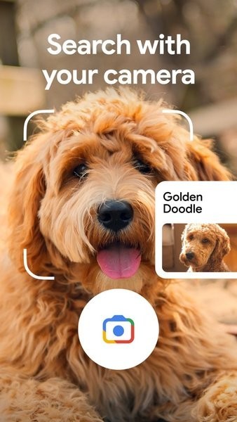 谷歌搜索引擎截图4