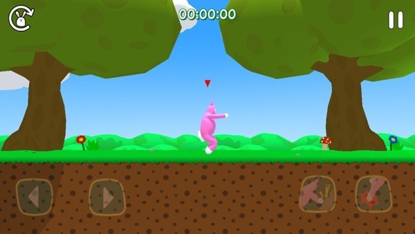 超级兔子人双人版截图4