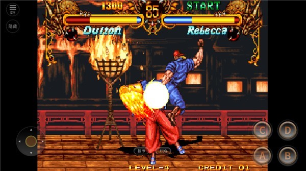 双截龙格斗截图2