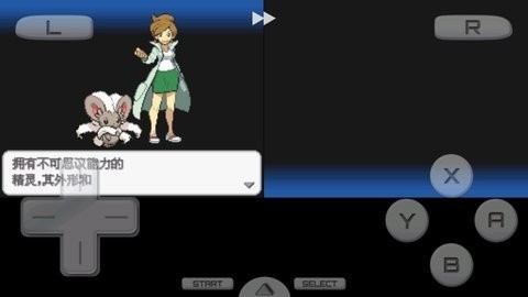 口袋妖怪黑白2中文版截图2