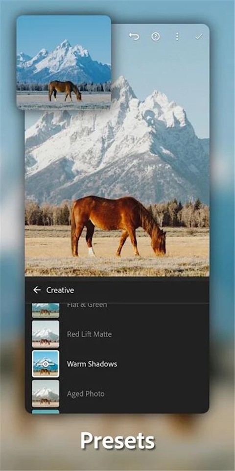 Lightroom中文版截图3