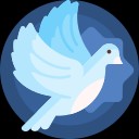 熊盒子新版本白鸽