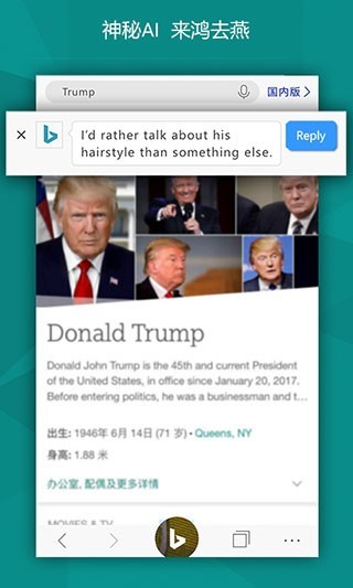 必应搜索引擎截图5