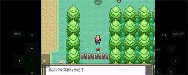 口袋妖怪燃之智截图4