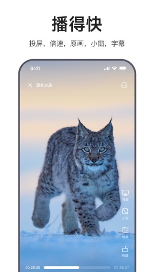 迅雷浏览器截图3