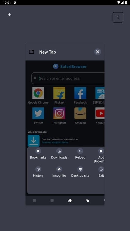 Safari浏览器安卓版截图1