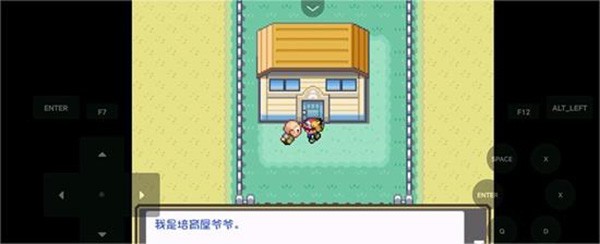 口袋妖怪燃之智截图1