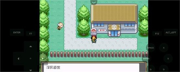 口袋妖怪燃之智截图3