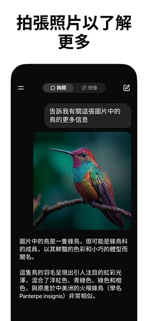 Grok4.1卸甲版截图2