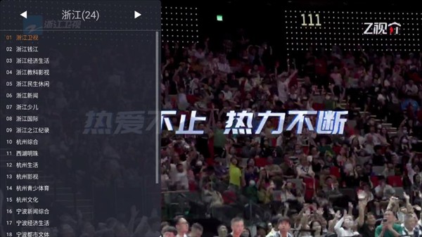 webview电视截图4