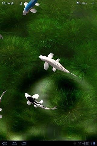 自由锦鲤动态壁纸截图3