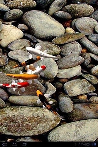 自由锦鲤动态壁纸截图1