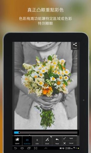 Pixlr 最新版截图2