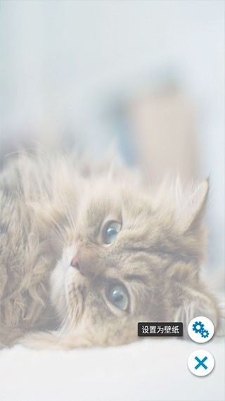 铃声壁纸大全app截图1