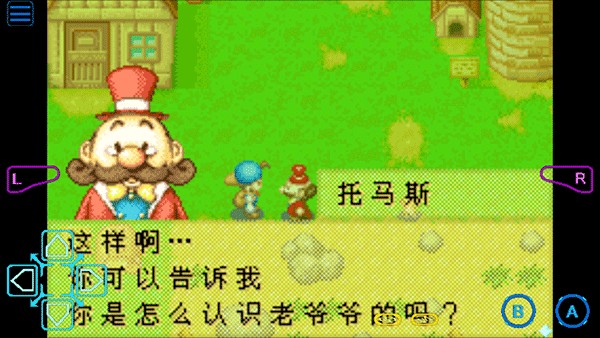 牧场物语男孩版截图1