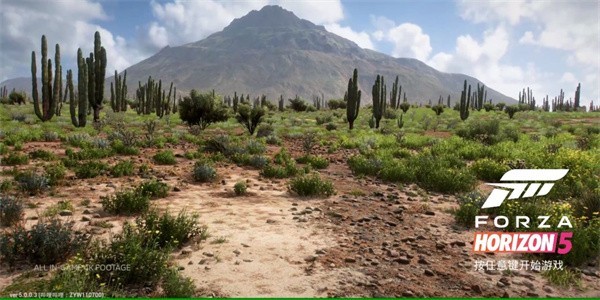 地平线5手机版截图3