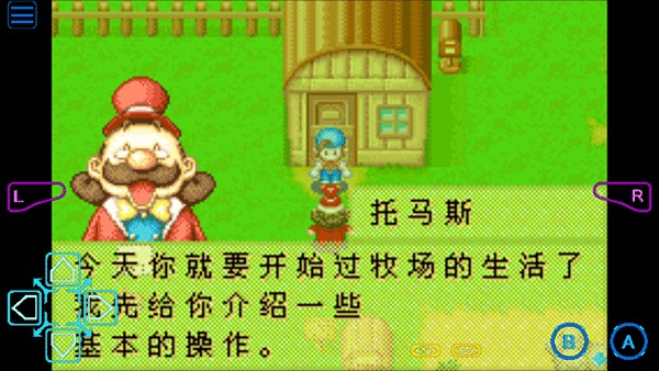 牧场物语男孩版截图2