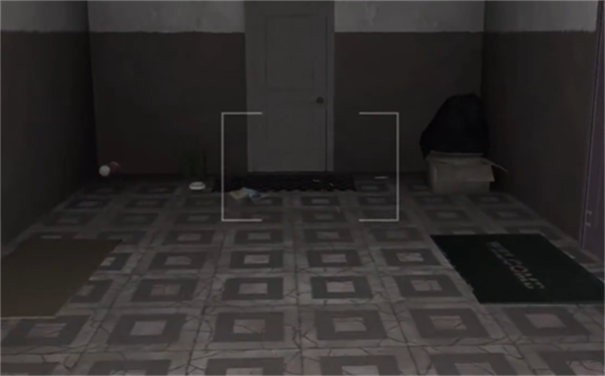 The Ghost中文版截图3