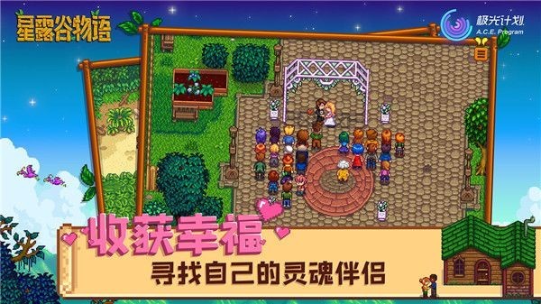 Stardew valley手机版截图3