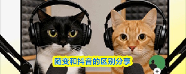 随变和抖音的区别分享