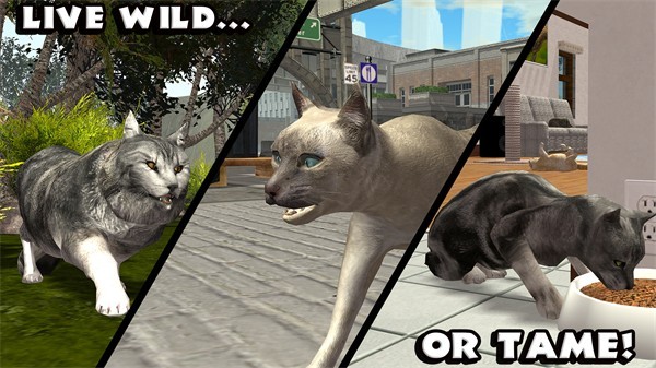 终极猫模拟器中文版截图4