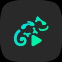 蜥蜴音乐播放app