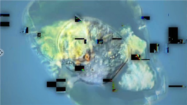 孢子模拟器中文版截图3