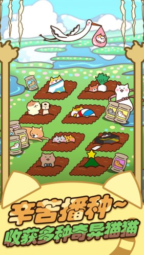 猫咪田园离线版截图4