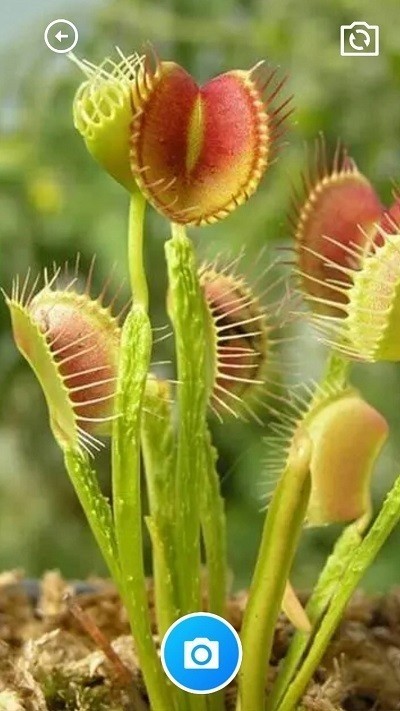 家乐全能工具箱app截图3