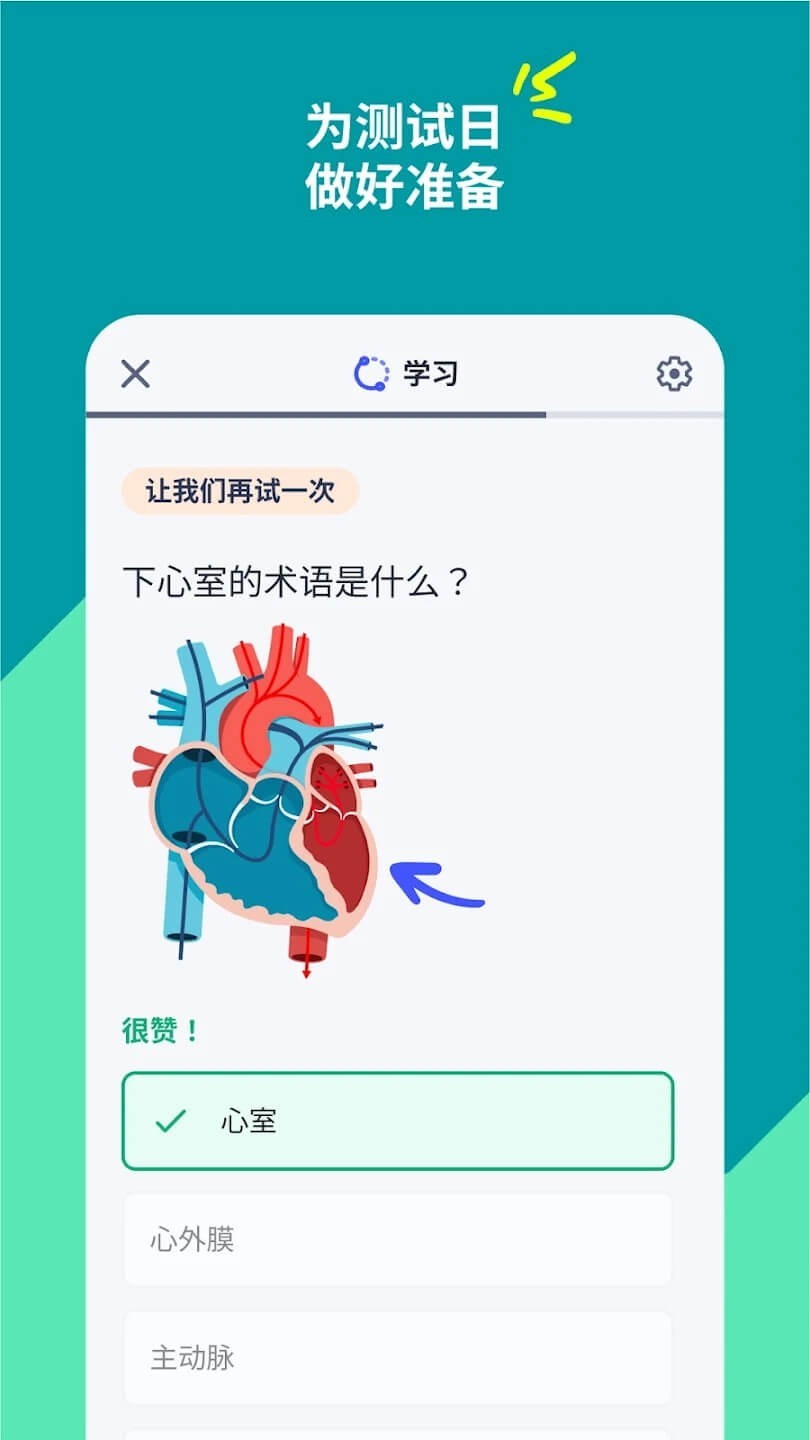 Quizlet截图1