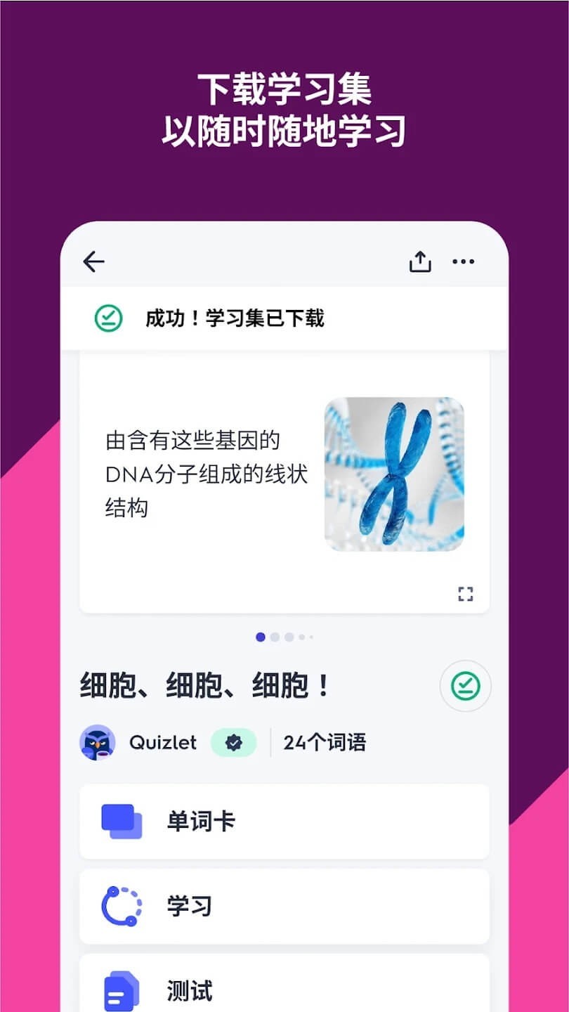 Quizlet截图3