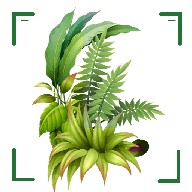 识万物扫一扫软件