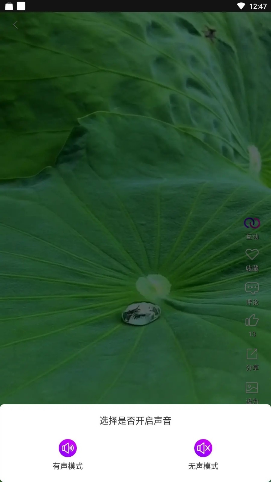 炫彩壁纸秀app截图3