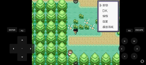 宝可梦燃之智截图1