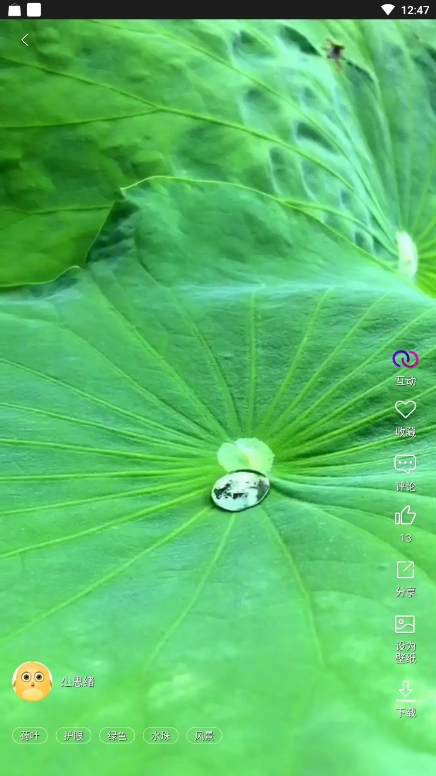 炫彩壁纸秀app截图4