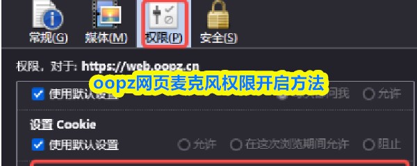 oopz网页麦克风权限开启方法
