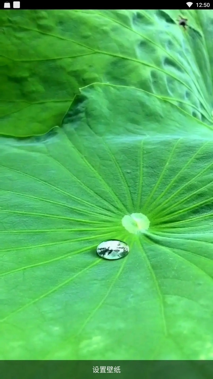 炫彩壁纸秀app截图1