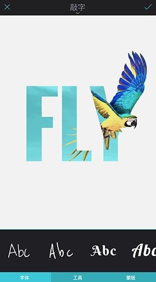 Enlight Photoloop截图1