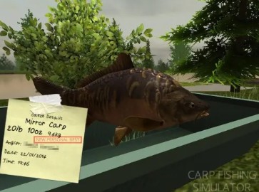 鲤鱼垂钓模拟器截图1