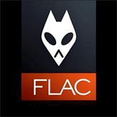 FLAC音乐播放器