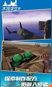 木筏求生2官方正版截图5