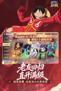 航海王启航vivo版本截图5