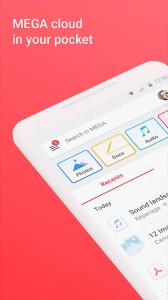 mega云盘官方版截图5