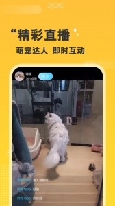 培森家园app截图5