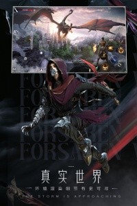 新神魔大陆华为客户端截图4