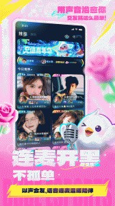 不鸽电竞官方版截图5