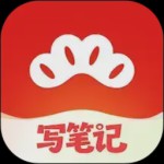 红松app